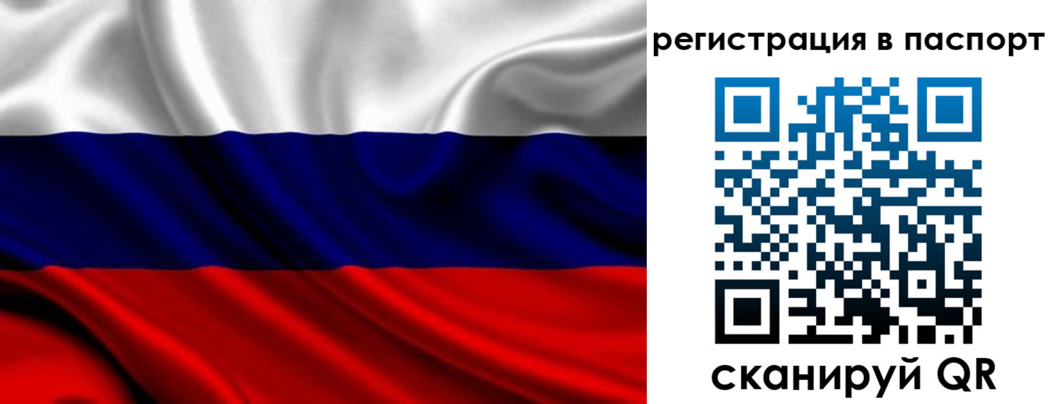 прописка для школы в Электростали